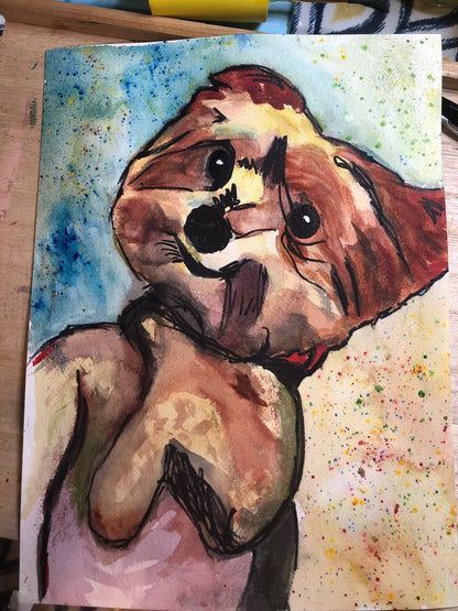 Pet Portraits