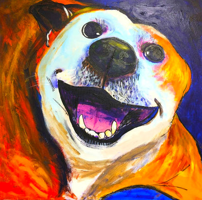 Pet Portrait
