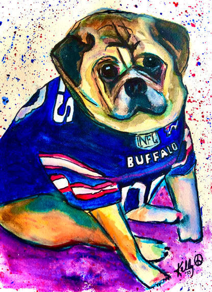 Pet Portraits