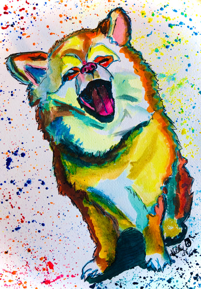 Pet Portraits