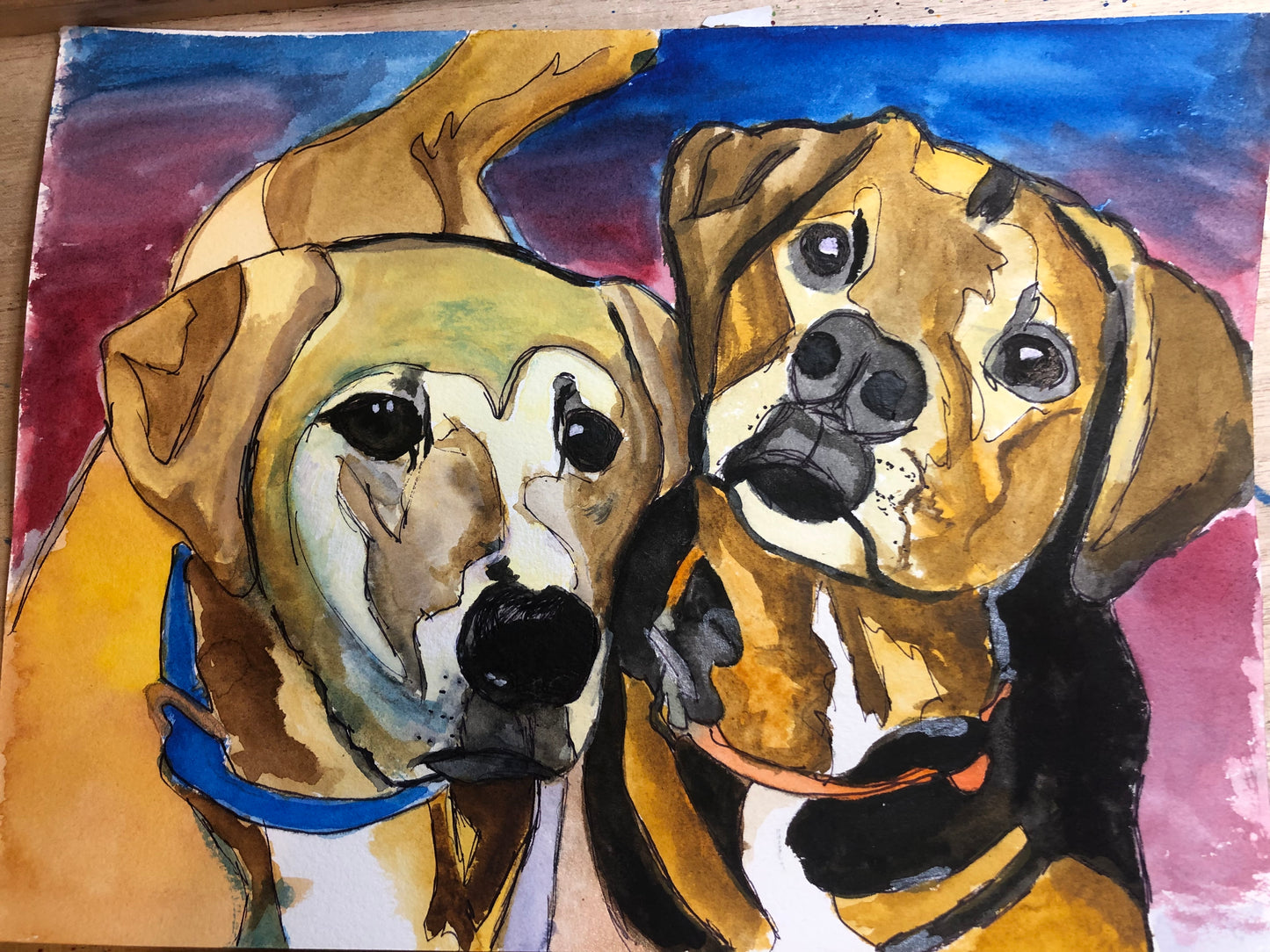 Pet Portraits